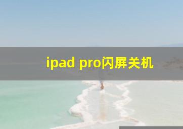 ipad pro闪屏关机